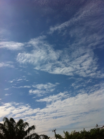 Morning skyの素材