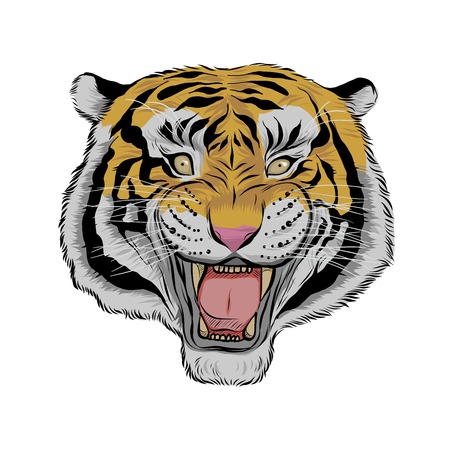 Hand drawn head of tiger, Vectorial isolated elements vector illustration Henna Mandala Zentangle stylized for Cover book or card, tattoo more. Design for spiritual relaxation for adults.のイラスト素材