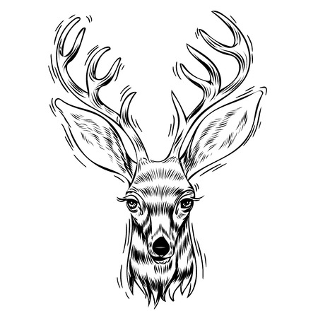 Hand drawn portrait of deer, Vectorial isolated elements vector illustration Henna Mandala Zentangle stylized for Cover book or card, tattoo more. Design for spiritual relaxation for adults.のイラスト素材