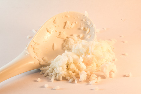 Rice and spoonの写真素材