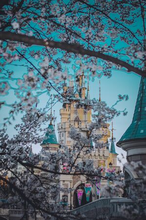 the disney theme park in koreaのeditorial素材