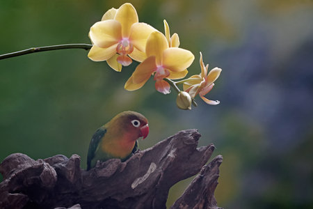 Parrot on a branch with orchids in the background.