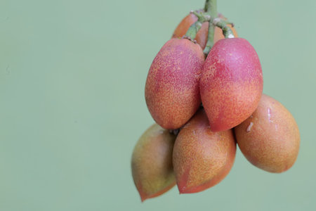 Close-up of Mangosteen fruit on the tree with blur background