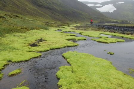 Bikers with panniers in interior on Iceland: volcanic fields with green moss, streamss and rivers in...