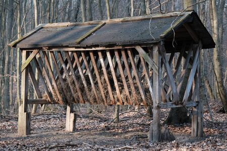 Pasture with hay - a place for feeding forest animals. Feed for forest animals. Fall season