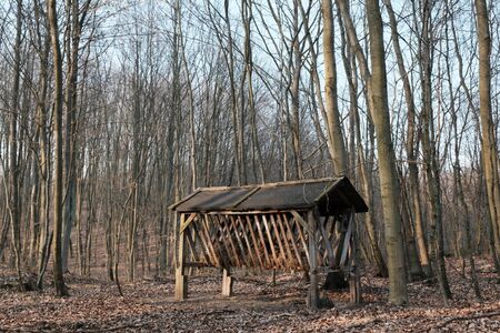 Pasture with hay - a place for feeding forest animals. Feed for forest animals. Fall seasonの写真素材