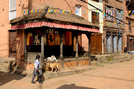 Bhaktapur, Nepal - circa November 2019: The girl walks past a small Hindu temple with two dogs next to it. Bhaktapur, Kathmandu Valley, Nepal, Asiaのeditorial素材
