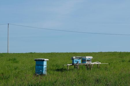 Blue hives standing on a green meadow. Polish countryside, Cracow-Czestochowa Upland, Poland.の写真素材