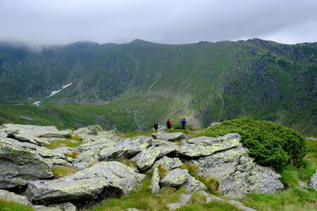 Romania, Romanian Carpathians - Fagaras Mountains, tourists on the trail in the Paltin Mountainsの写真素材