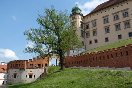 Wawel Royal Castle in Krakow, Poland. Exterior view with defensive walls.のeditorial素材