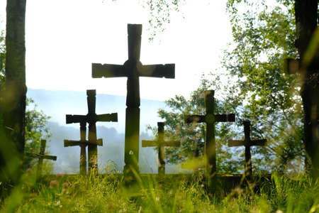 Wooden crosses among trees in morning light. Blurred grass in foreground. First World War cemetery in the village of Krempna. Low Beskids Mountains, Polandの写真素材