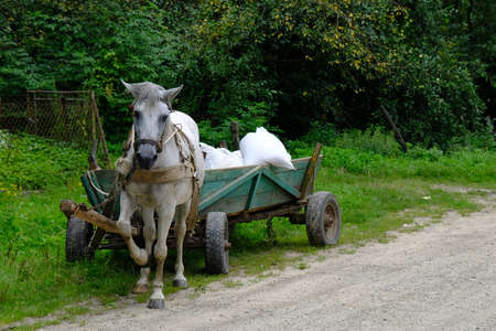 Western Ukraine - countryside, horse with wooden cart on roadの写真素材