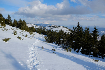 Winter mountain views on red ridge trail from Certovica - Sedlo za Lenivou - Sedlo Homolka during snowshoe tours in Low Tatras in Slovakia. Footprints trampled in the snow.の写真素材