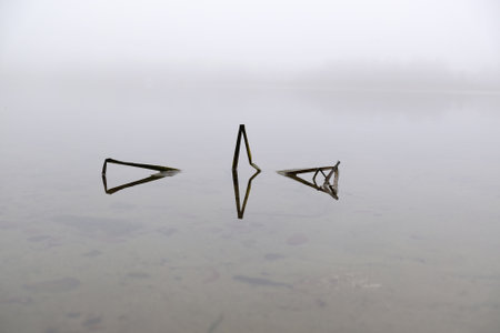 Moody misty landscape of lake with amazing effect of reflection of branches immersed in calm surface of water. Otomin Lake, Kashubia, Polandの写真素材