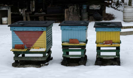 Colorful wooden beehives covered with snow on a winter day