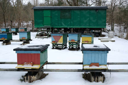 Colorful wooden beehives covered with snow on a winter day