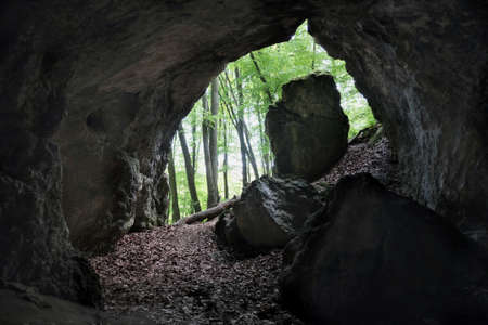 Bear's Cave in the Park Reserve in Zloty Potok, Trail of Karst Phenomena in Krakowsko-Czestochowska Upland, "Eagles' Nests" Landscape Park, Silesia, Polandの写真素材