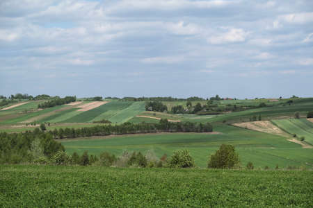 Picturesque fields on the hills in spring day, near the village of Niegowa in...