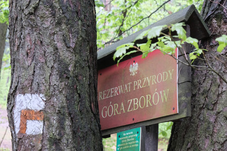 Gora Zborow, Poland - Information board of Nature Reserve of Gora (Mount) Zborow, Krakowsko-Czestochowska Uplandのeditorial素材