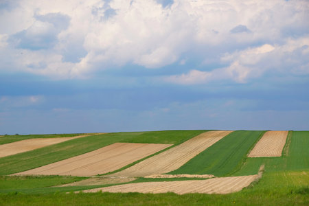 Beautiful fields in colorful stripes illuminated by the sun around Suloszowa on spring season, Jura...