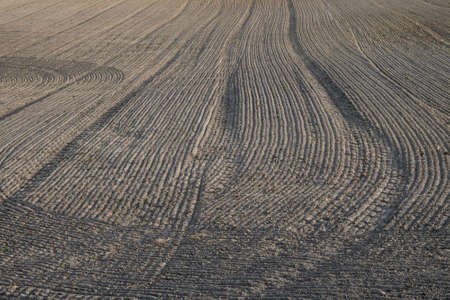 A close-up of furrows in a freshly plowed field in spring.