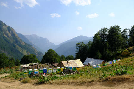An apiary with colorful hives in the mountains of Albania, Albanian Alps. During trip from Theth to...