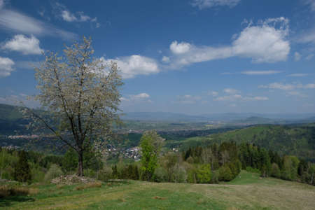 Mountains Beskid Zywiecki - panoramic view near village Zabnica on blue trakking trailの写真素材
