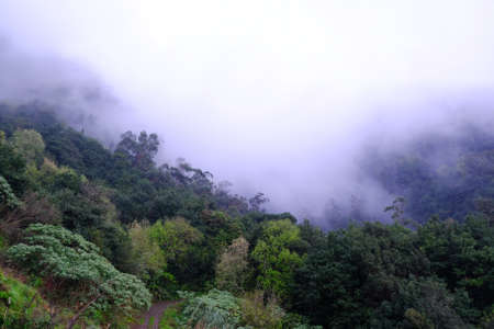 Mountains covered with a green forest in heavy clouds - around Sao Jorge, Madeira island, Portugal