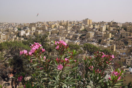 Panorama of Amman city from the vicinity of the Citadel, Jordanの写真素材