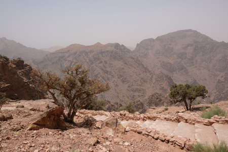 Wonderful mountain views with trees on the Jordan Trail from Little Petra (Siq al-Barid) to Petra....