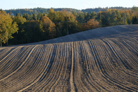 A plowed field in the hills with an autumn forest on the horizonの写真素材