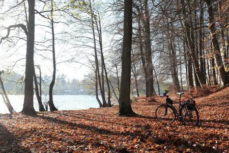 A trekking bike with a small pannier stands by the lake in a beautiful sunny autumn sceneryの写真素材