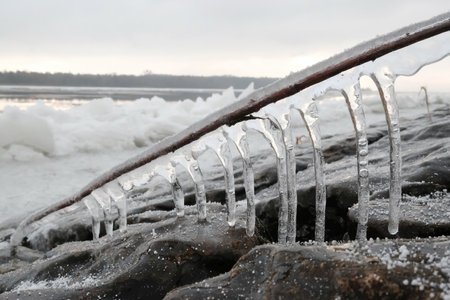 Beautiful natural phenomenon - ice covered branches and long icicles on woods on the coast at the Vistula mouth to the Baltic, Sobieszewska Island, Polandの写真素材