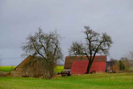 Rural scenery with green fields and farm buildings on horizon on sunny summer dayの写真素材