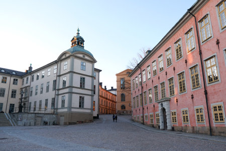 Stockholm, Sweden - circa February 2023: Wrangel Palace, Swedish: Wrangelska palatset, or Court of Appeal of Svealand, townhouse mansion with Stenbock Palace on right, Riddarholmeのeditorial素材