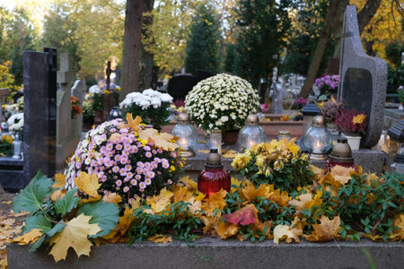 Grave with glass candles and flowers in pots among dry autumn leaves in cemetery on November dayの写真素材