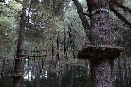 Rope park around recreation area Refugio del Pilar in Cumbre Vieja National Park. La Palma, Canary...