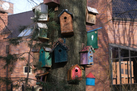 Close-up of a tree trunk with colorful nesting boxes for birds in the cityの写真素材