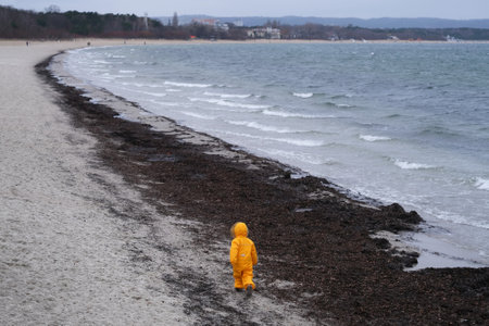 Little child in a yellow waterproof warm suit is walking on the beach by the sea. Brzezno, Gdansk, Baltic Sea, Polandの写真素材