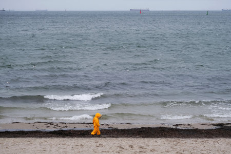 Little child in a yellow waterproof warm suit is walking on the beach by the sea. Brzezno, Gdansk, Baltic Sea, Polandの写真素材