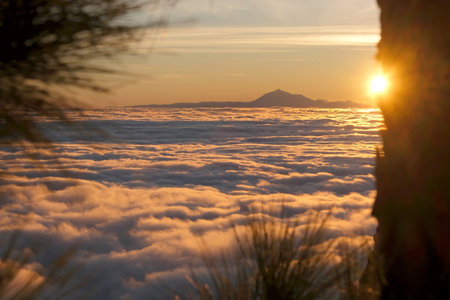 Sunrise in mountains with inversion phenomenon, low clouds lit by sun and Teide peak on horizon. Refugio Punta de Los Roques, National Park Caldera de Taburiente, La Palma, Canaryの写真素材
