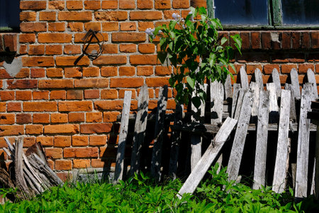 Old broken wooden fence with bush of lilac by brick wall of old farm buildingの写真素材