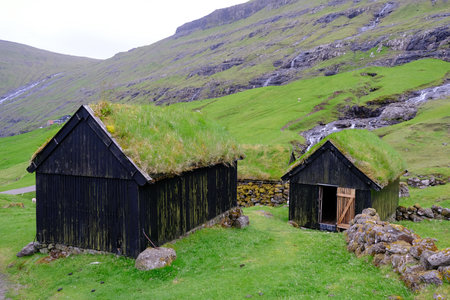 Traditional faroese wooden buildings with grass on roof in Saksun village of Saksun. Streymoy Island, Faroe Islands, Denmarkの写真素材