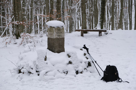 Stone post with inscription in Polish. Nature Reserve Lubygosc, Kashubian Landscape Park, Mirachowskie Forests, Pomerania, Polandの写真素材