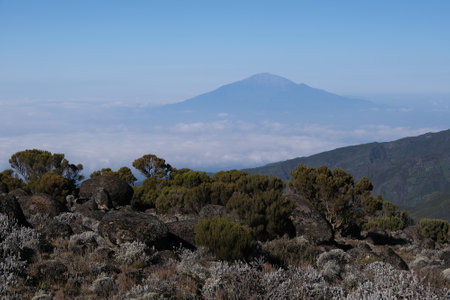 Beautiful panorama with Mount Meru on horizon, Machame Route, trail from Shira Camp to Barranco Camp, Tanzaniaの写真素材