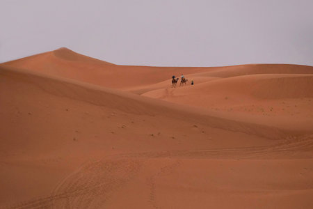 Couple with camels on Sahara desert in sunset scenery, Morocco