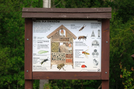 Kociewie, Poland - 1 June 2025: Information board about Insect hotel, sometimes called bee hotel or bug hotel in forest.の写真素材
