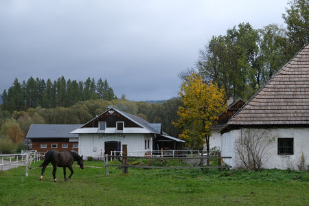 Horse farm and grazing horse next to manor house in Lopuszna village, Malopolska, Polandの写真素材