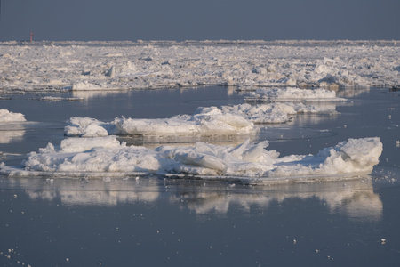 Frozen Vistula river with shuga - ice floe in shape of discs around Swibno. Interesting phenomenon...