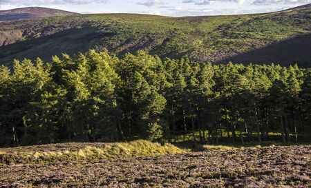 Rural Scottish landscape. Aberdeenshire, Scotland, UKの写真素材
